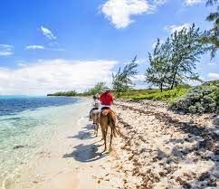 A man is riding a horse on the beach.