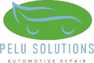 Pelu Solution  logo