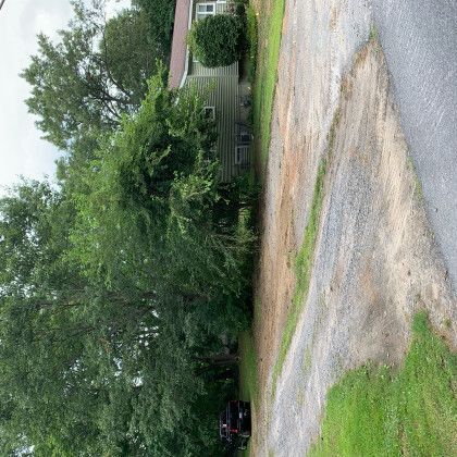 A dirt road leading to a house surrounded by trees and grass.