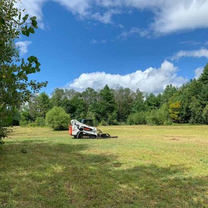 A bobcat is sitting in the middle of a grassy field.