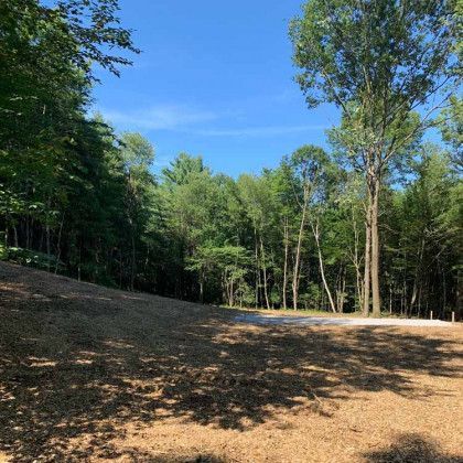 A dirt road in the middle of a forest with trees in the background.