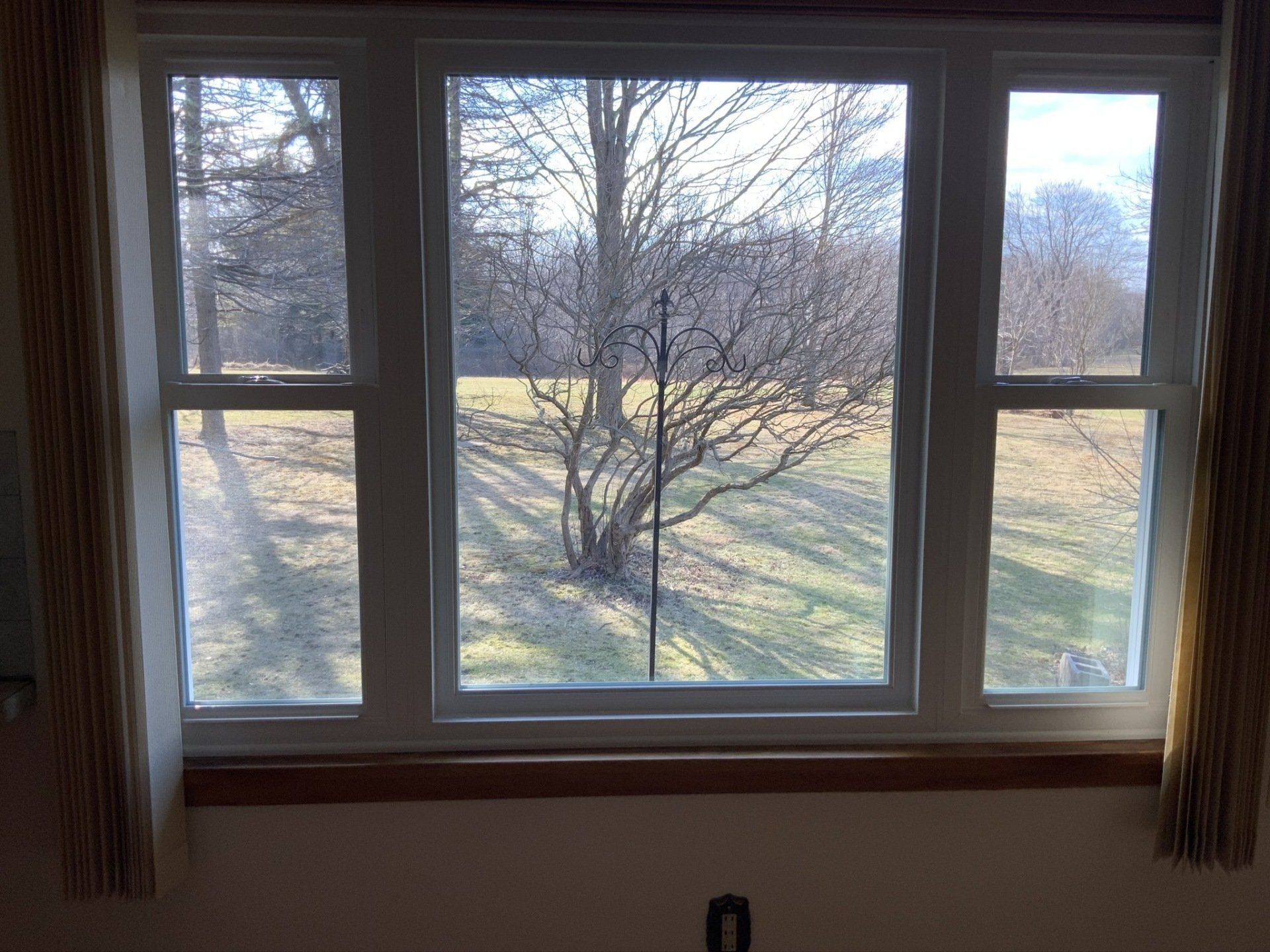A large window with a view of a field and trees.