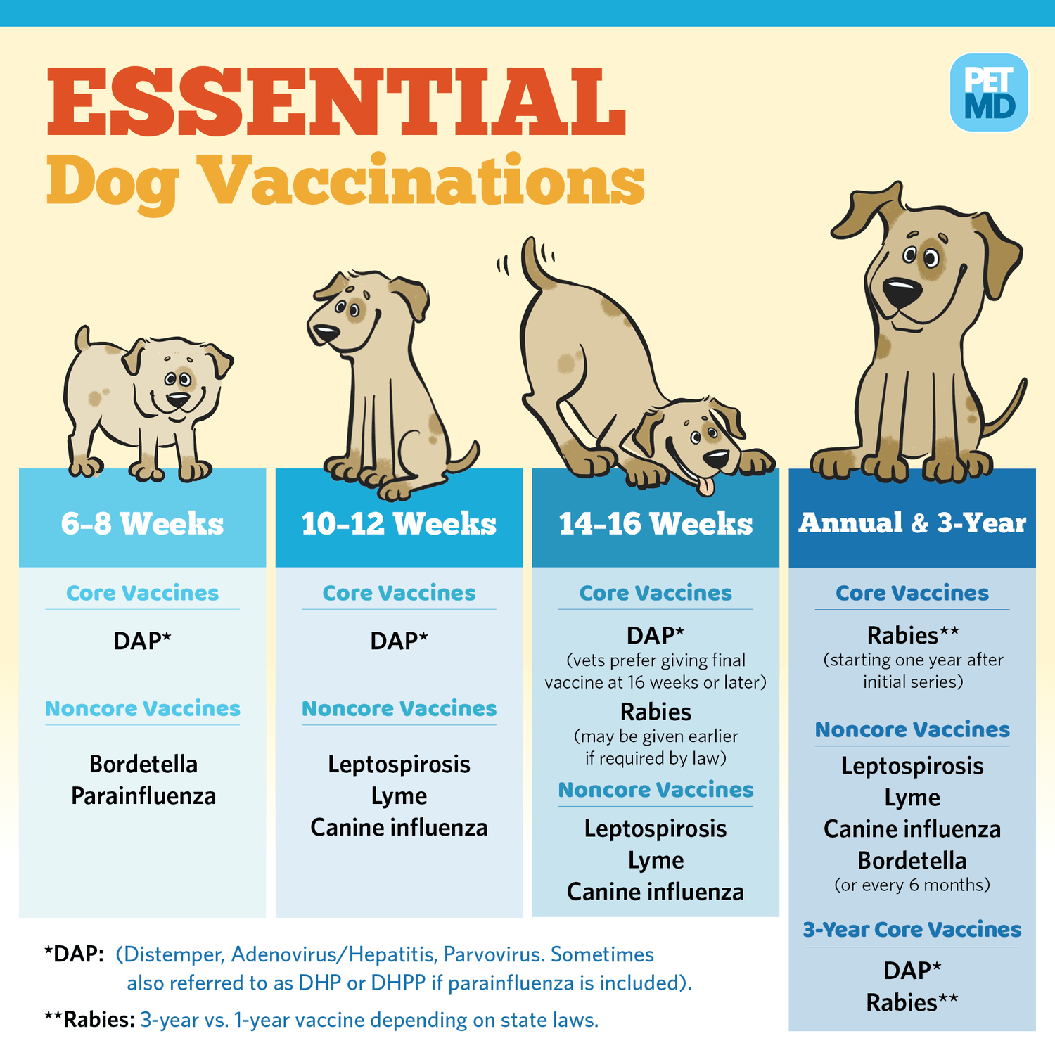 essential dog vaccinations