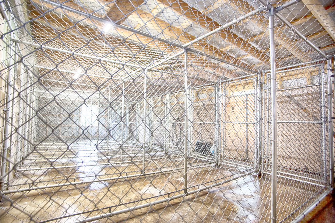 Pine Lake Dog Boarding