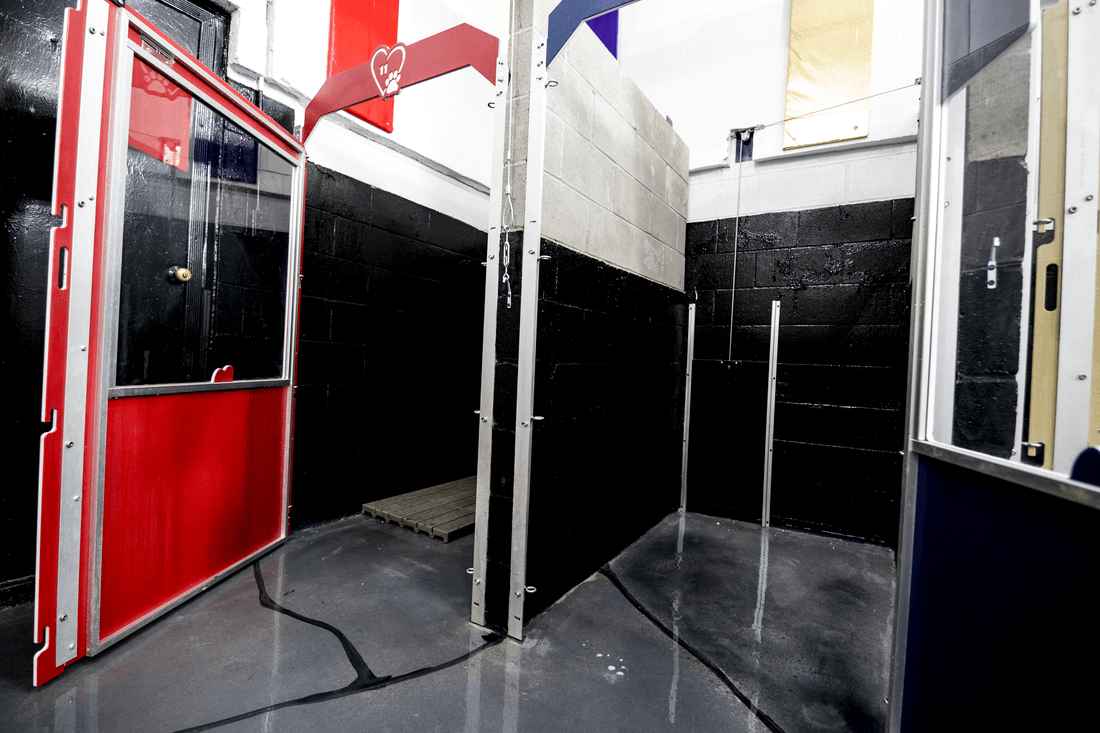 Pine Lake Dog Boarding