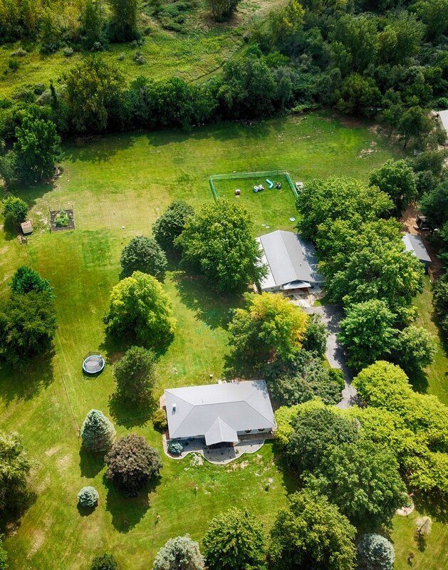 Pine Lake Dog Boarding