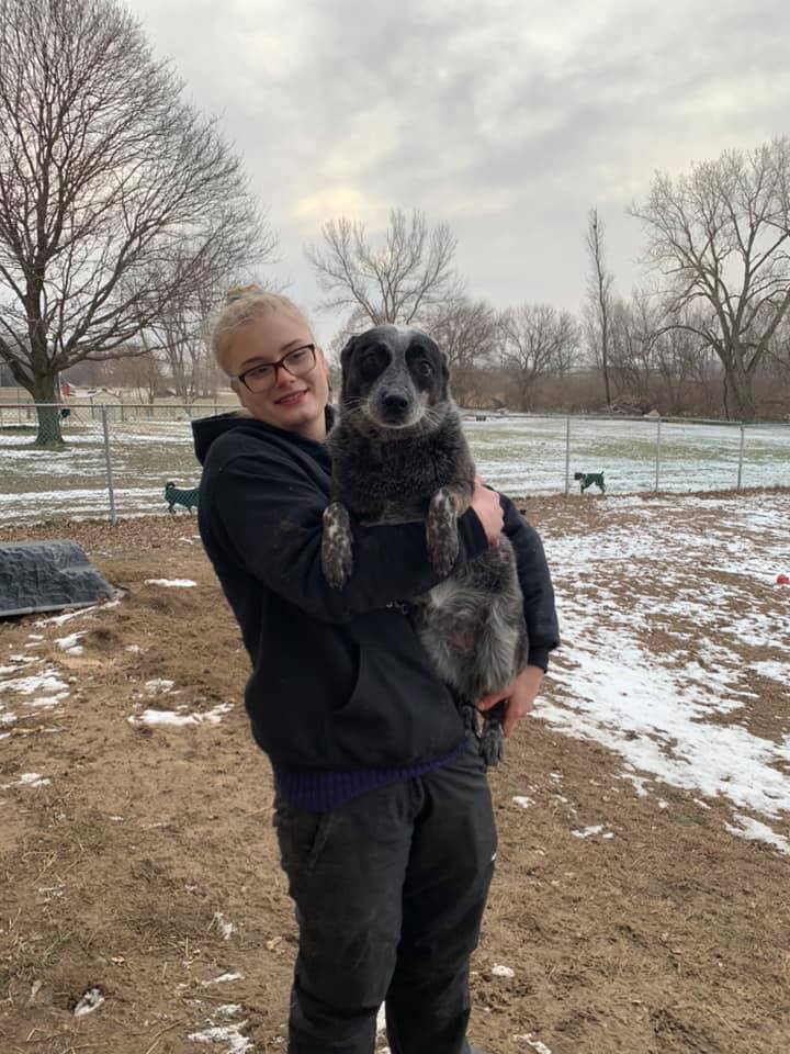 Pup outside with Trainer
