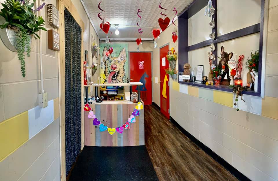 Pine Lake Dog Boarding