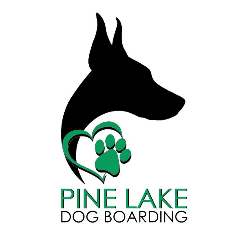 Pine Lake Dog Boarding
