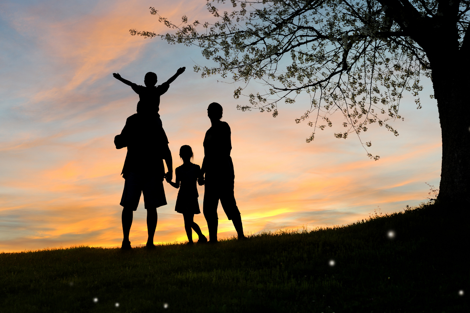 After getting their annual physical exam in LA, the family spends time and enjoys a nice outing without any worries.