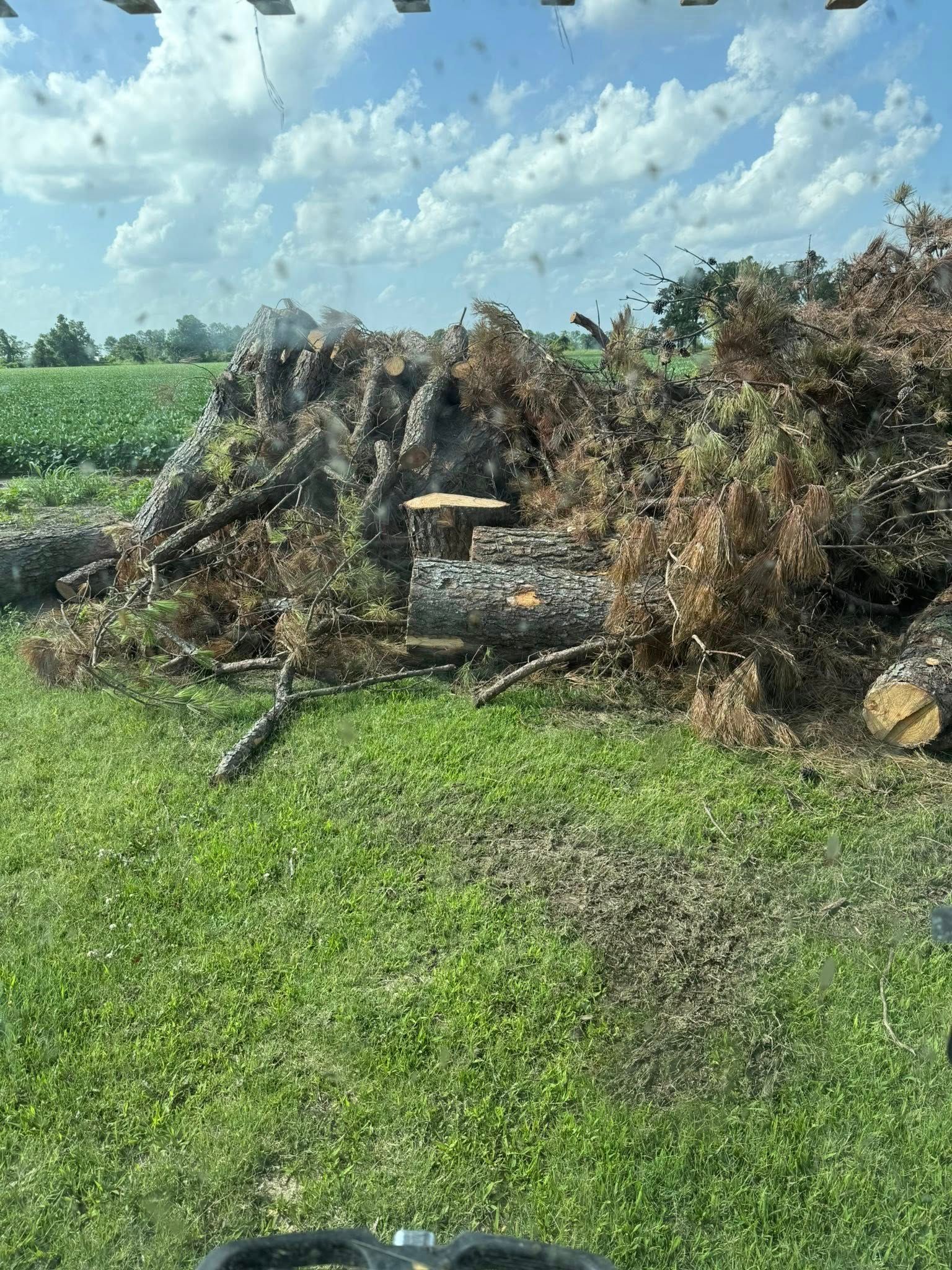 land clearing brush pile
