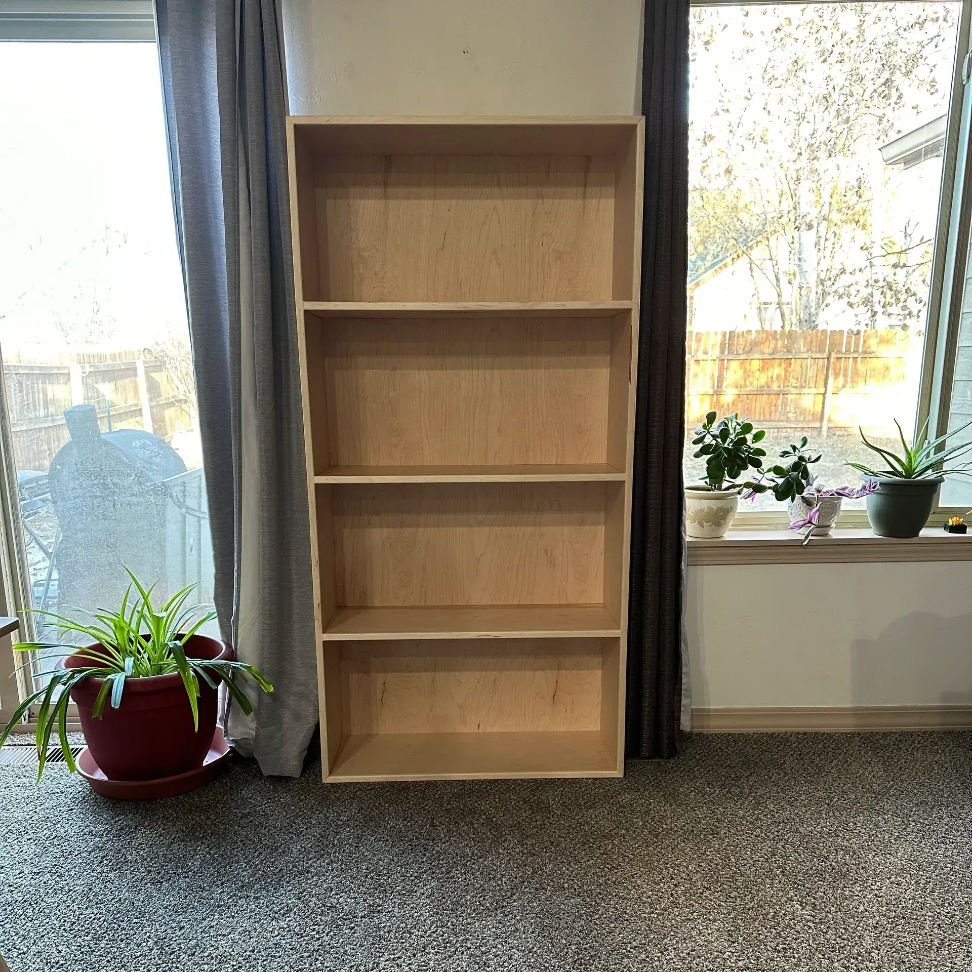 Tall, empty wooden bookshelf against a window with plants.