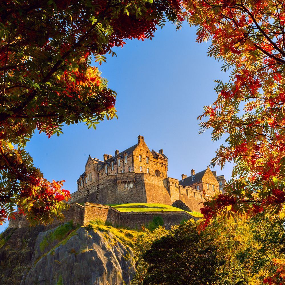 A castle sits on top of a hill surrounded by trees