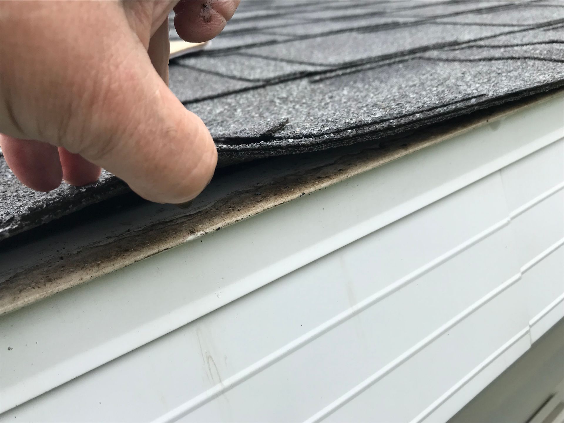 A person is holding a piece of shingles on top of a roof.