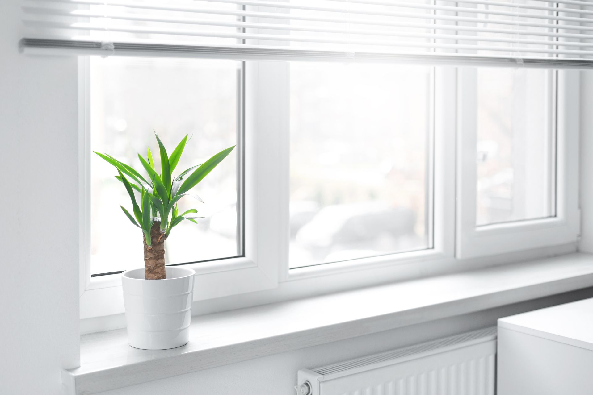 Window Replacement Columbus, GA