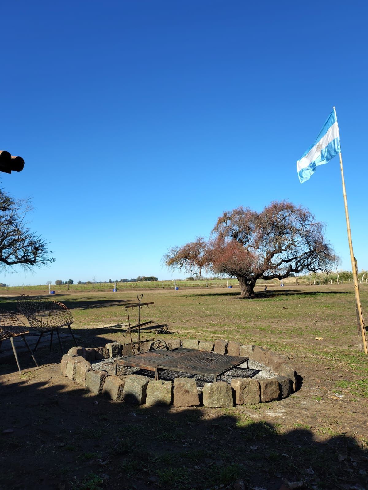 Escena al aire libre con una parrilla de piedra, bandera argentina y un árbol desnudo contra un cielo azul claro.