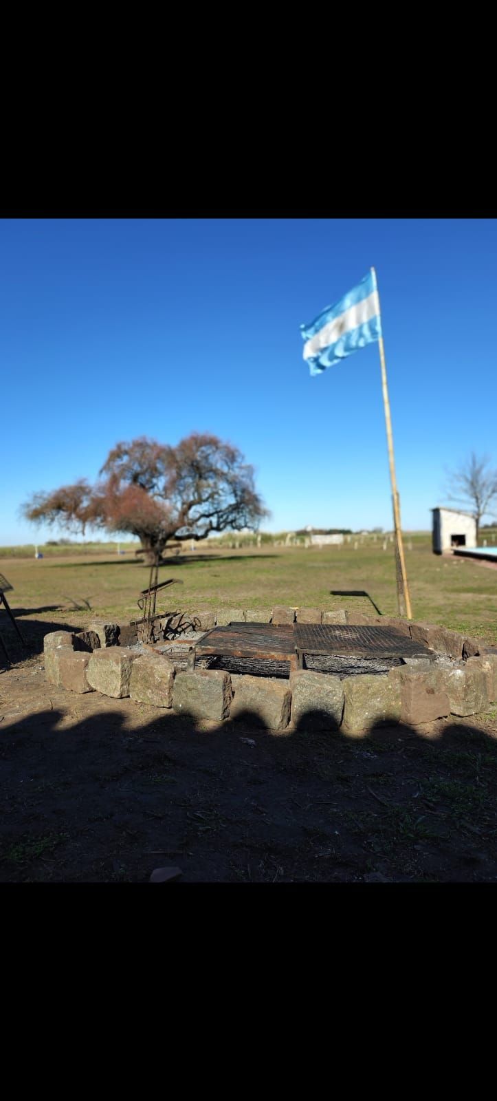 Una bandera argentina ondea sobre una fogata en un entorno rural, con un árbol desnudo y un cielo azul.