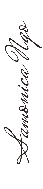 Lamsnica Map, handwritten text vertically, elegant cursive script.