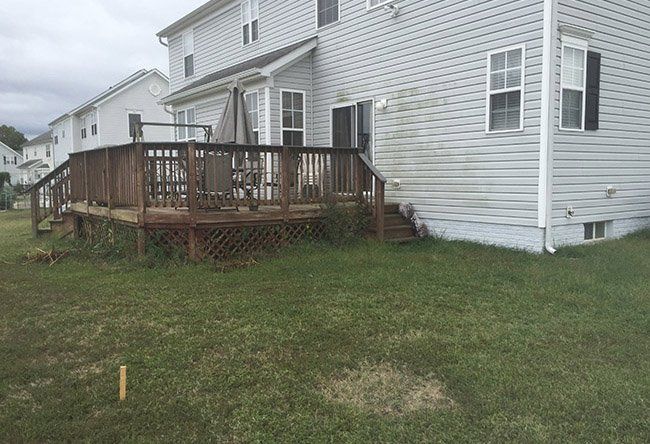 Backyard before poolscape