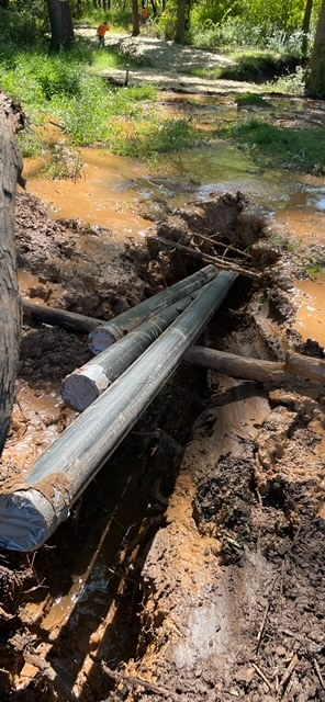 A couple of poles laying in the mud next to a tree.