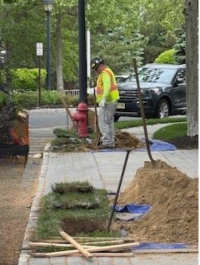 DVUC replacing a compromised 12/2 primary wire for streetlights in a Southern New Jersey neighborhood.