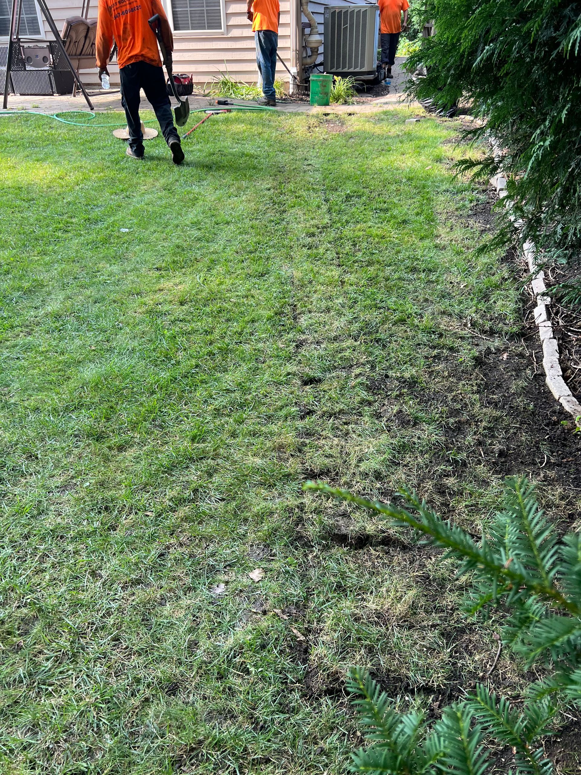 Workers in orange shirts mow a lawn with a dark patch where they have been working.  A line of freshly cut grass runs down the center.