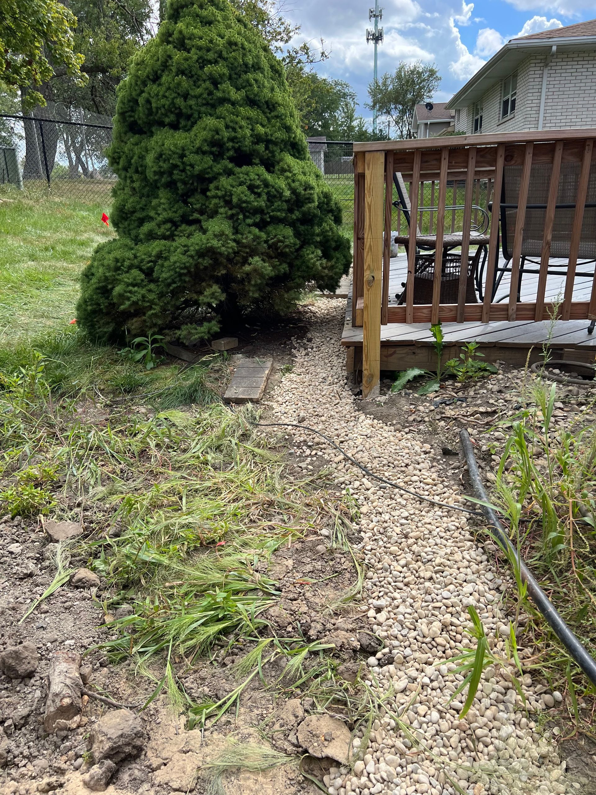 A gravel path leads from a deck towards a bushy green tree in a grassy yard. The sky is partly cloudy.