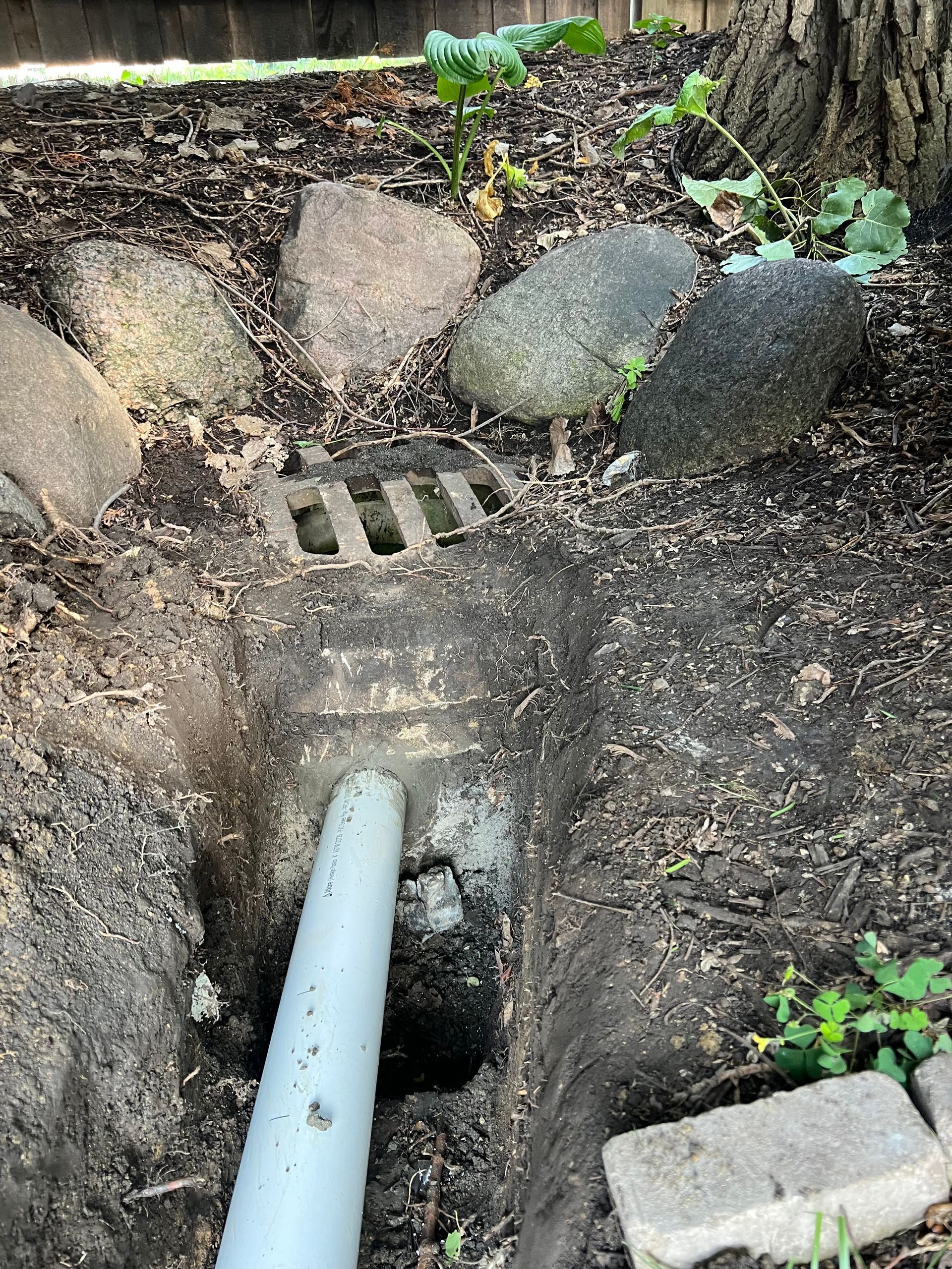 A gray drain pipe emptying into an open trench. Rocks and mulch surround the drain in a garden setting.