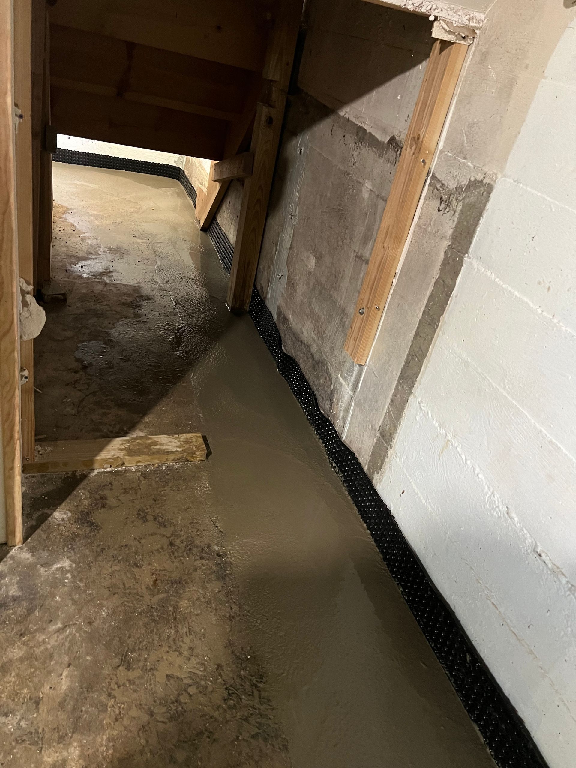 Basement floor with standing water and newly installed drainage membrane along the wall, near wooden support beams.
