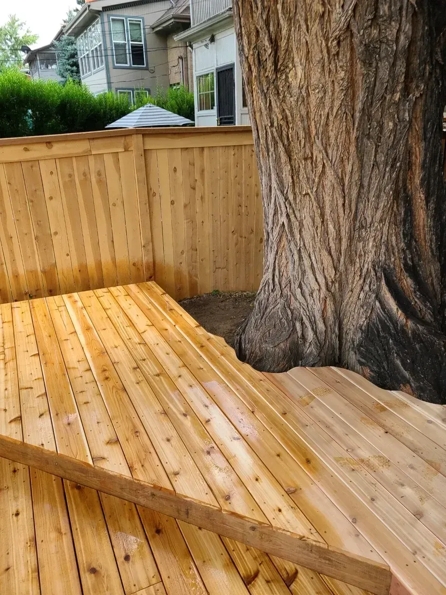 Wooden deck built around the trunk of a large tree, with a wooden fence in the background.