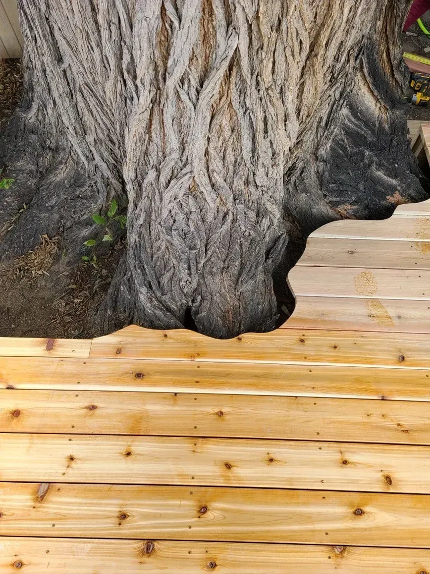 Wooden deck wraps around a large, textured tree trunk.