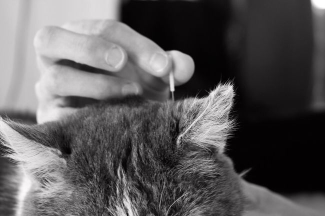 Acupunctuur Osteopathie