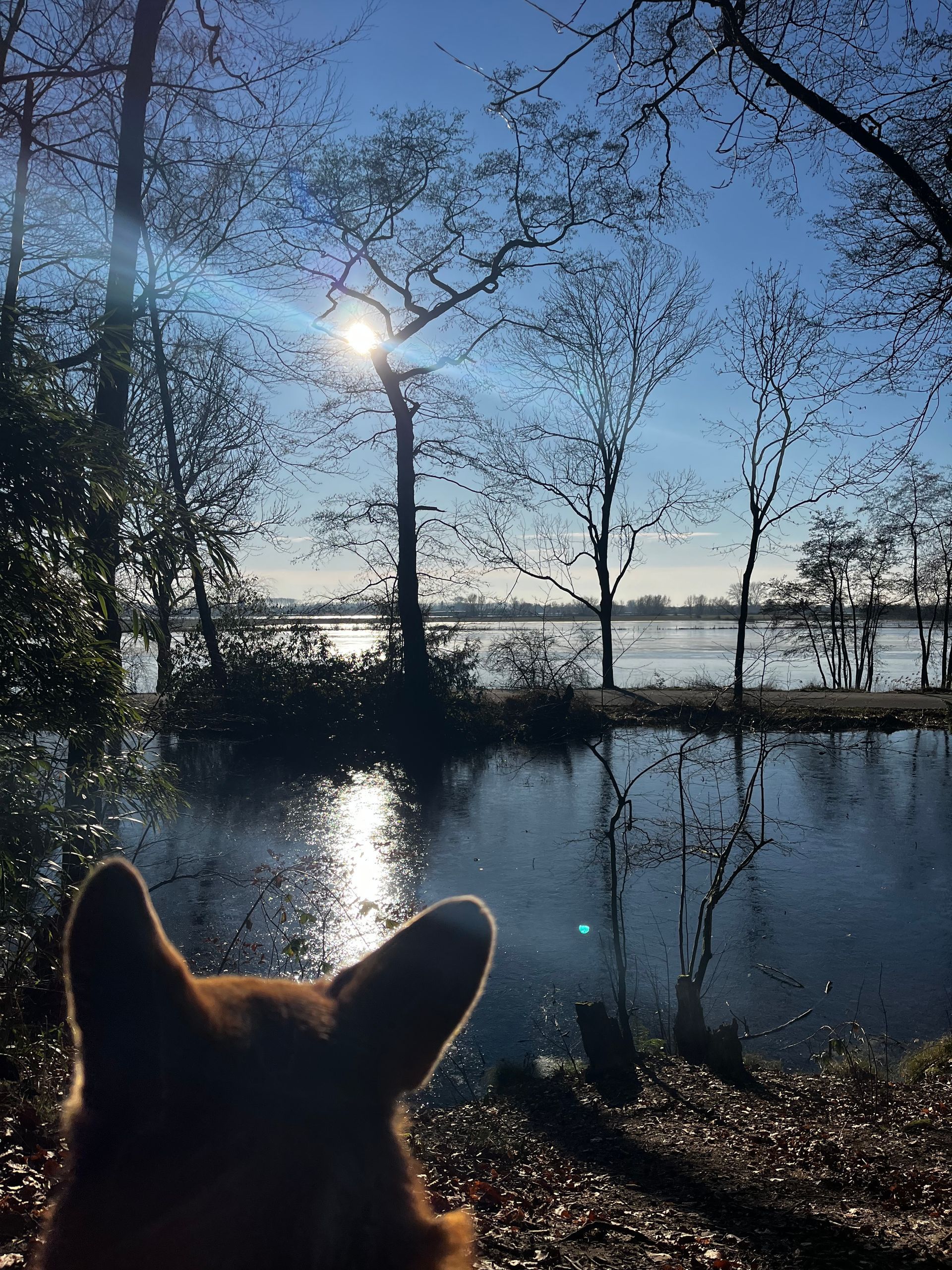 Bewegen en Verstarren