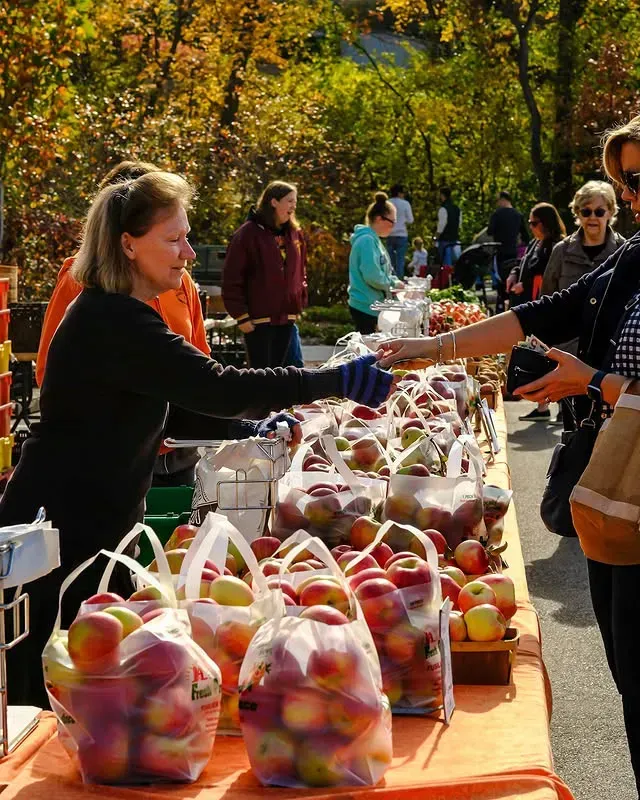 Shoppers at the Birmingham Farmers Market in Birmingham, MI, browsing tents of local produce, flowers, and artisan goods.