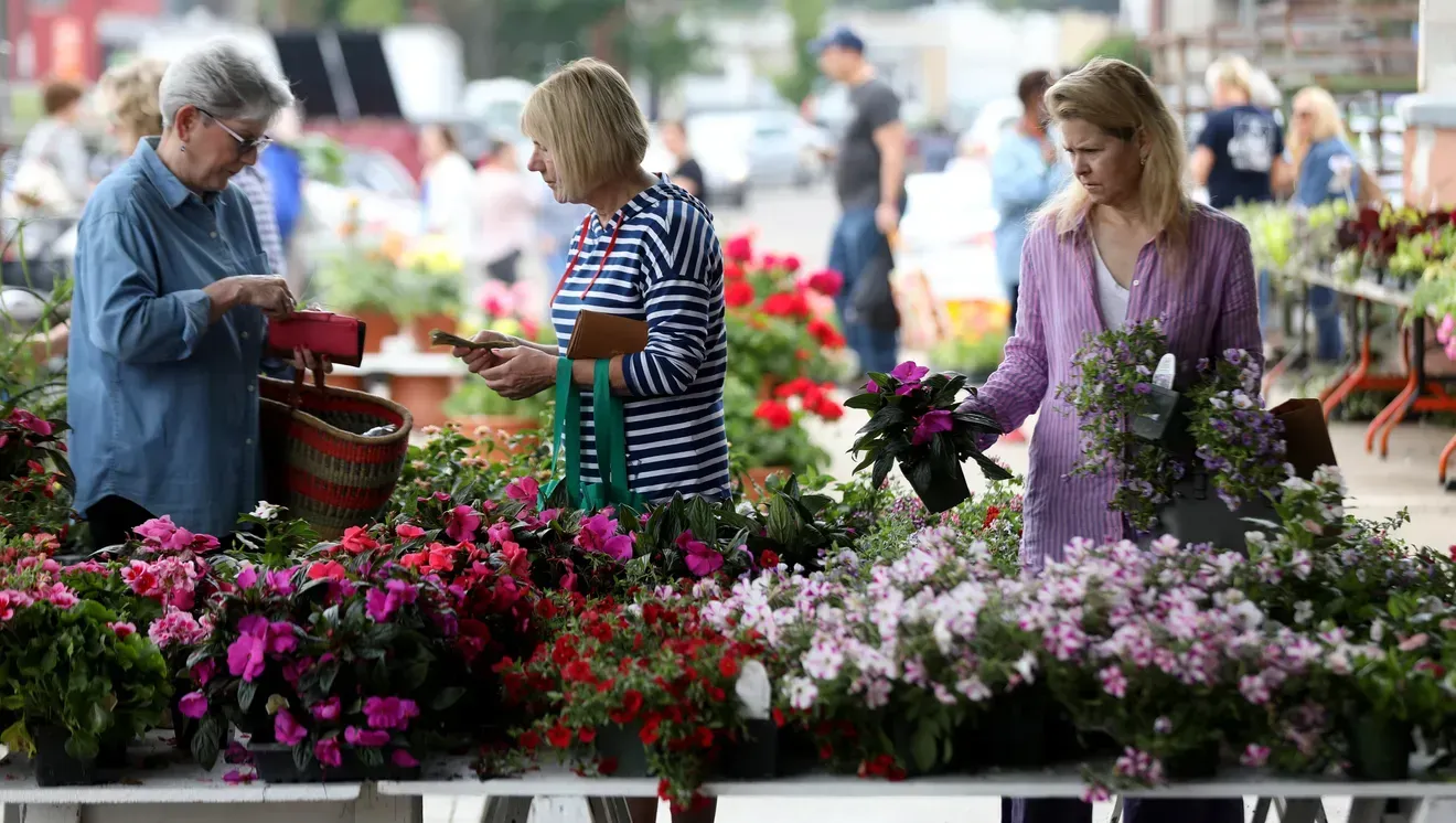 Women browsing flower stalls at Royal Oak Farmers Market on a sunny morning