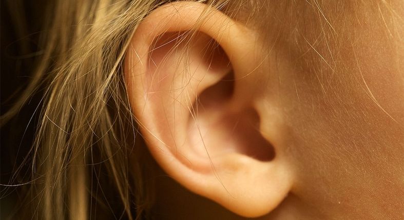 Close-up of an ear symbolizing whole-body connection in massage and bodywork therapy at Cultivating Harmony in Troy, Michigan