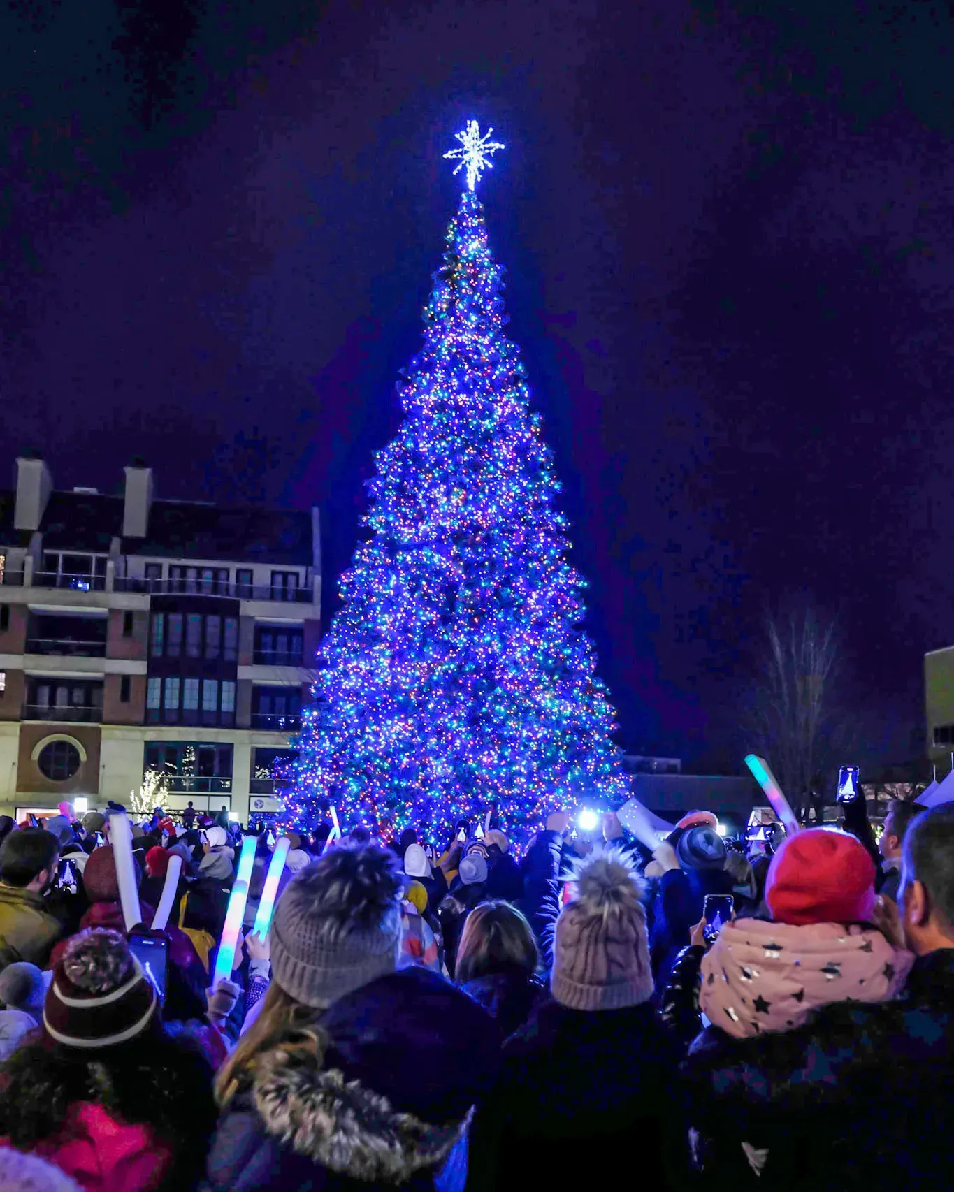 Crowd gathered in Shain Park for Birmingham's holiday tree lighting around a tall Christmas tree glowing with blue lights.