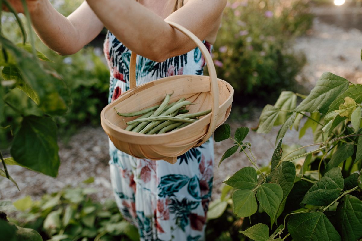 Zelfoogsttuin fotografie in de Struintuin