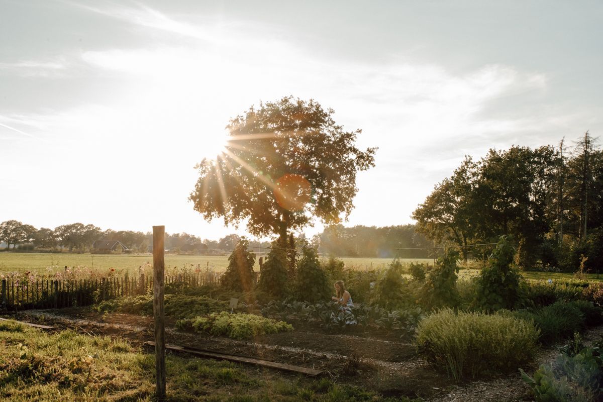 Zelfoogsttuin fotografie in de Struintuin