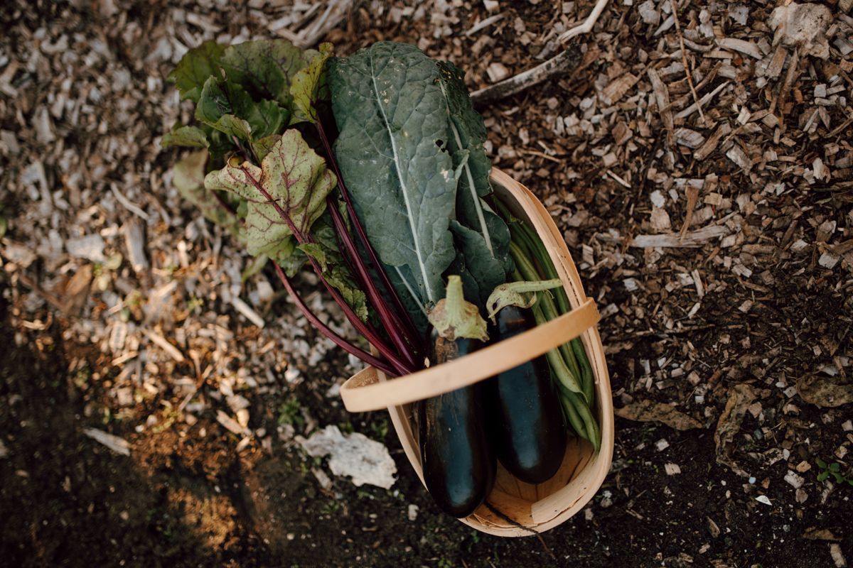 Zelfoogstuin fotografie