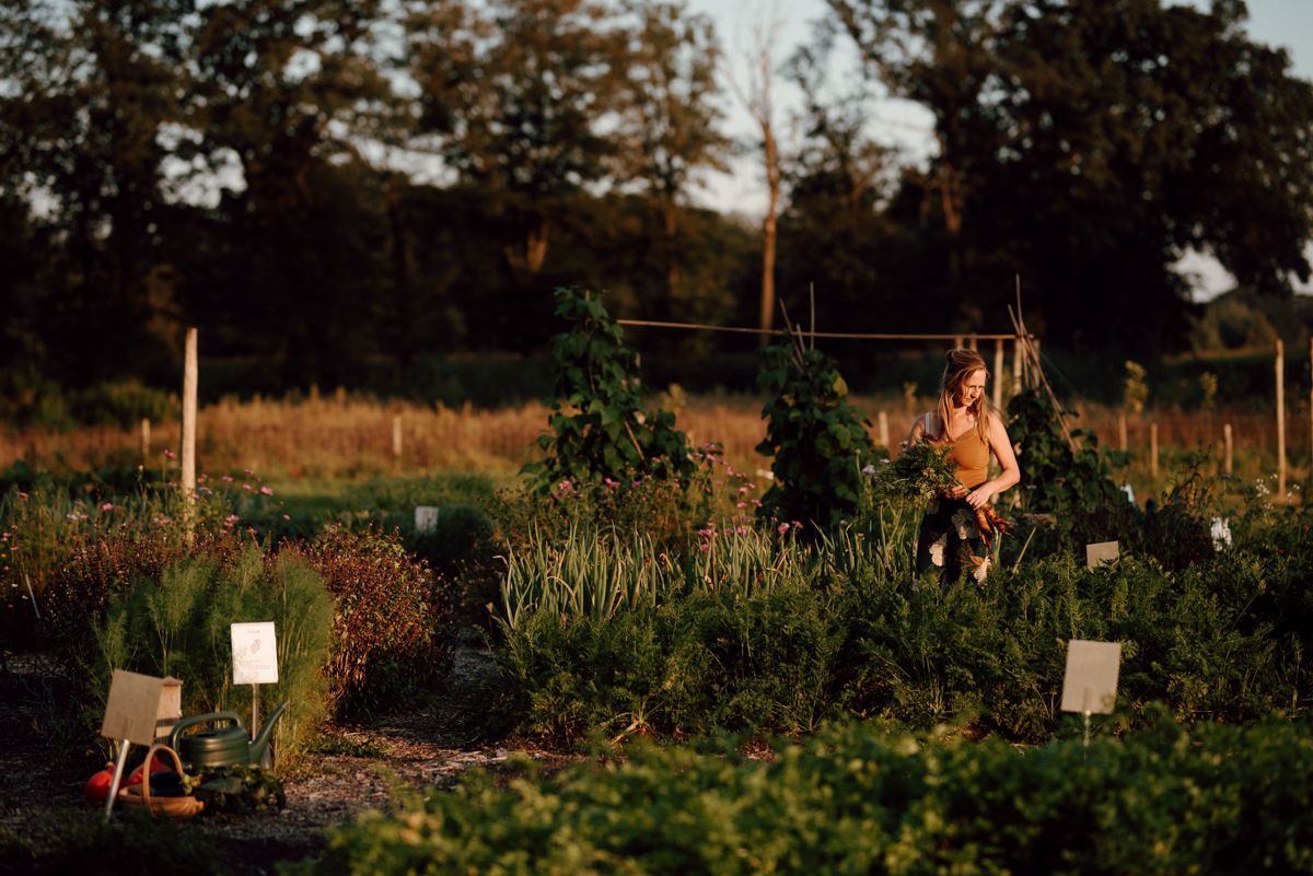 Zelfoogsttuin fotografie in de Struintuin