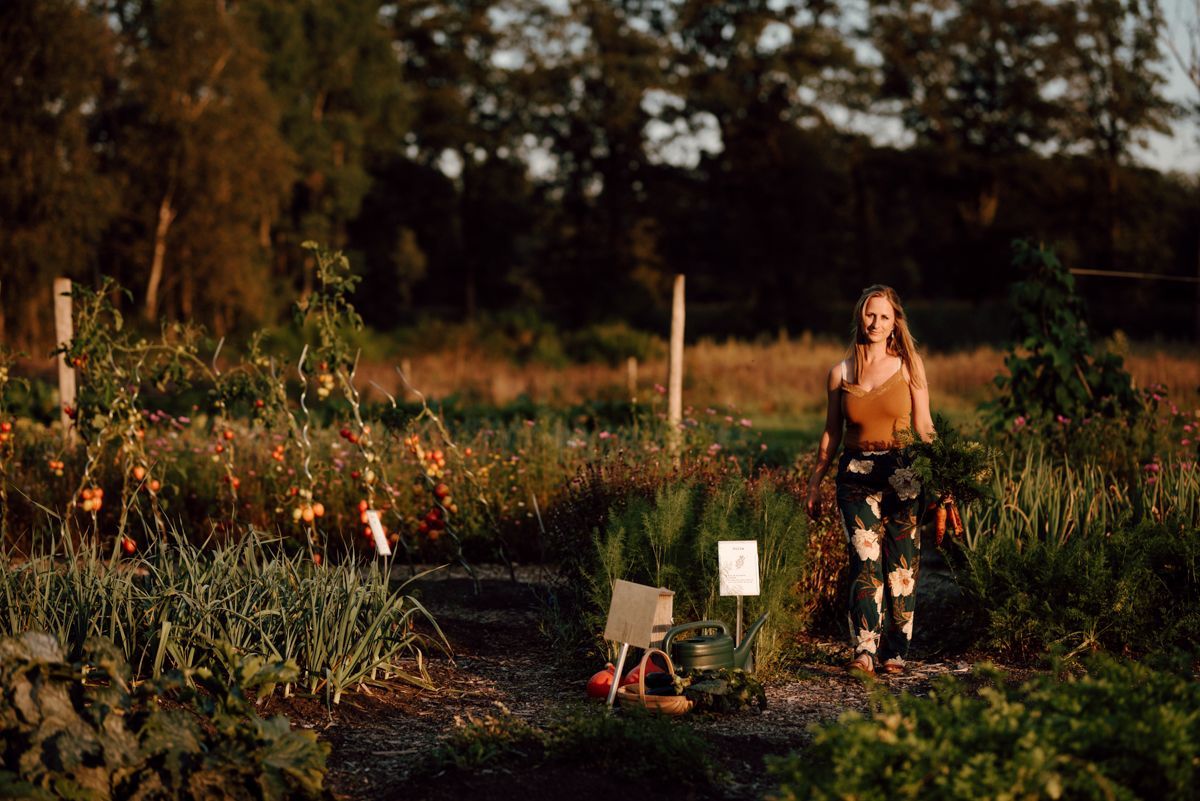 Fotografie zelfoogstuin - Struintuin