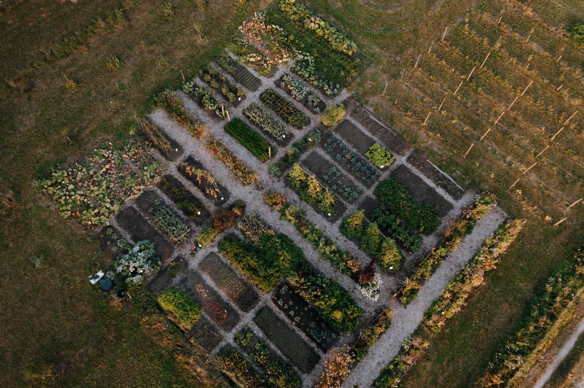 Zelfoogsttuin fotografie in de Struintuin