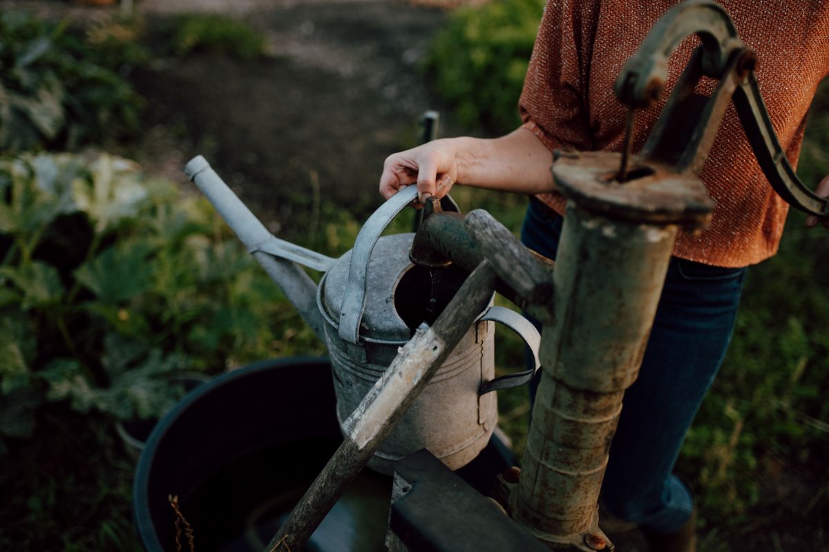 Zelfoogsttuin fotografie in de Struintuin
