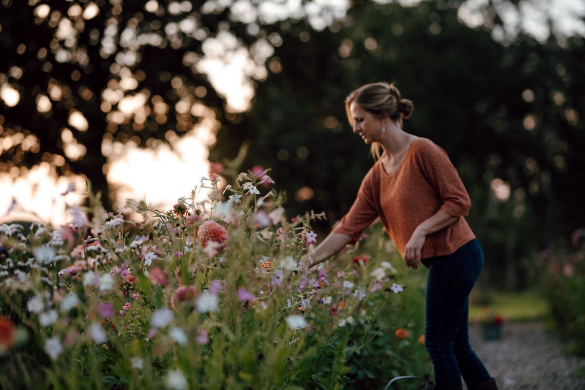 Zelfoogsttuin fotografie in de Struintuin