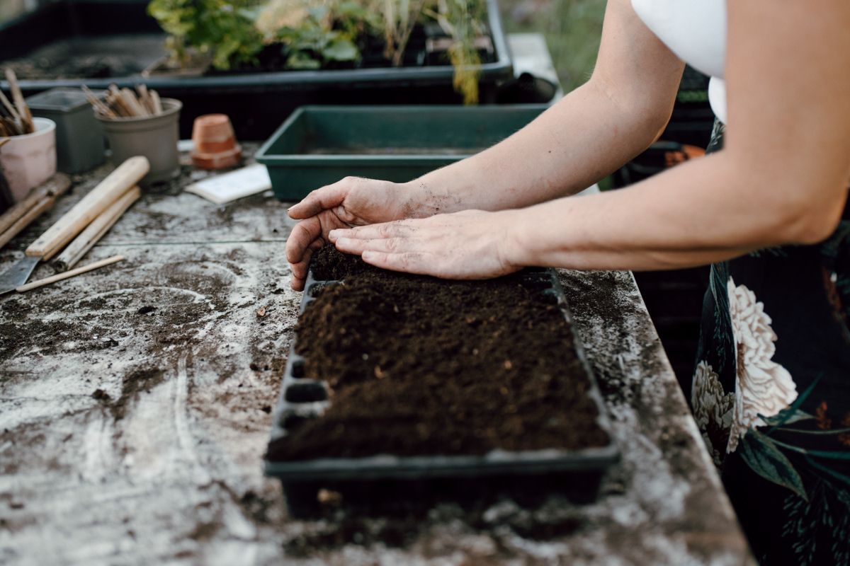 Zelfoogsttuin fotografie in de Struintuin