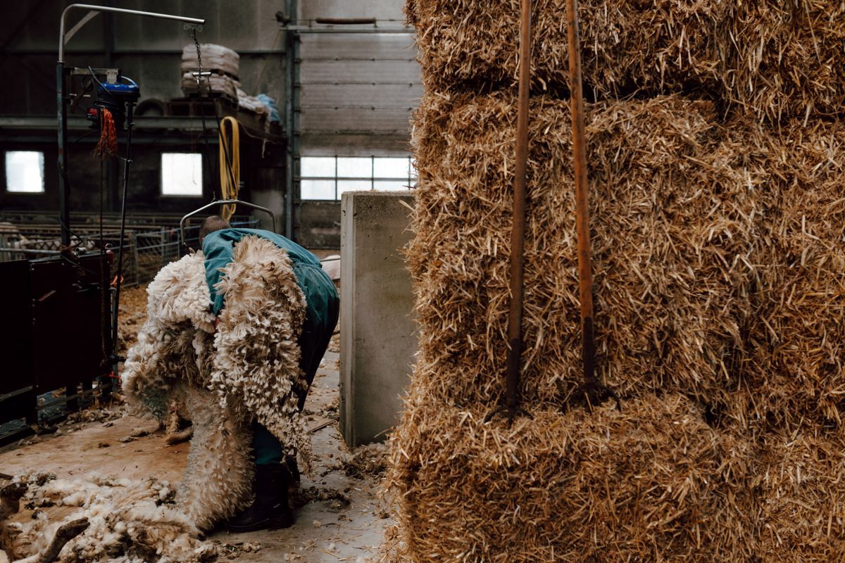 Waarom ik geloof dat documentaire fotografie dé vorm is voor groene en duurzame ondernemers
