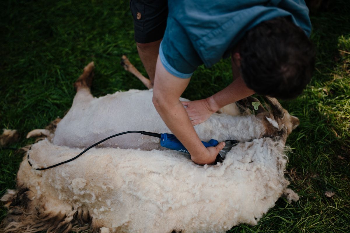 Waarom ik geloof dat documentaire fotografie dé vorm is voor groene en duurzame ondernemers
