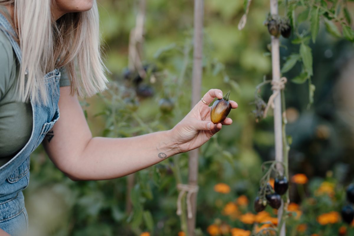 Wie zijn de ondernemers die ik fotografeer?