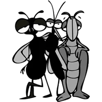 Cartoon of a fly, mosquito, and grasshopper standing together, looking thoughtful.